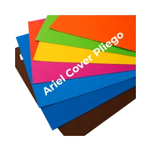 Ariel cover plieo