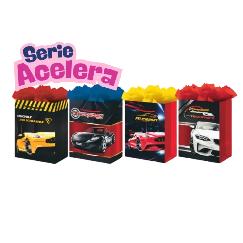 Bolsa Padi Acelera