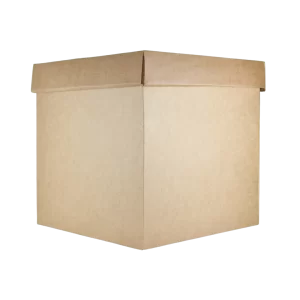 Caja Corrugado Cintamax Natural