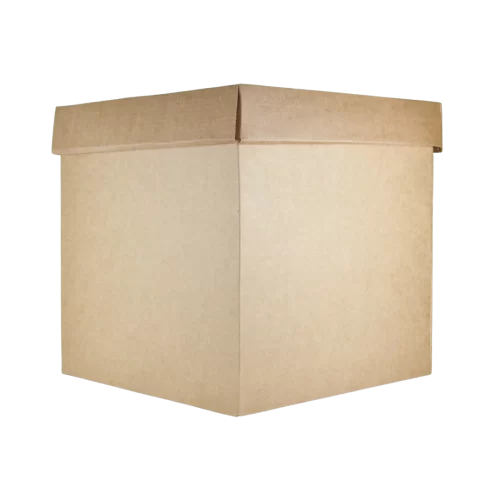 Caja Corrugado Cintamax Natural