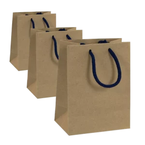 BOLSA KRAFT SOLIDO DIVERS P/12