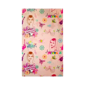 CAJA LICENCIAS 03 HANNA MONTANA HM0001IN0Z