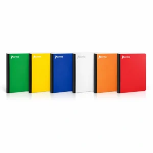 CUADERNO COSIDO NORMA MONOCOLOR 100H