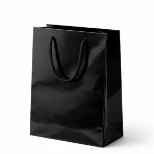 BOLSA FONDO SOLIDO C SIGMA NEGRO
