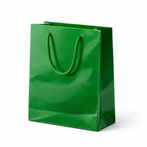 BOLSA FONDO SOLIDO E SIGMA VERDE