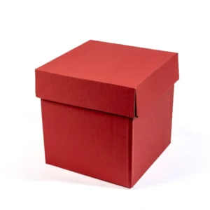 CAJA CARTON CORRUGADO CINTAMAX ROJA P/6